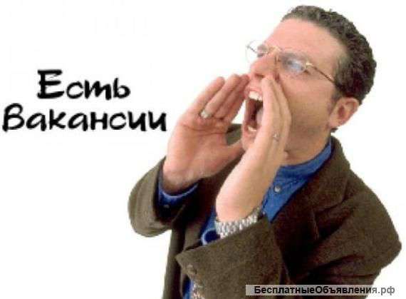 Заместитель руководителя отдела