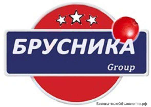 Сплит-системы от компании «Брусника»