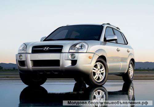 Arenda automobilelor-Procat auto