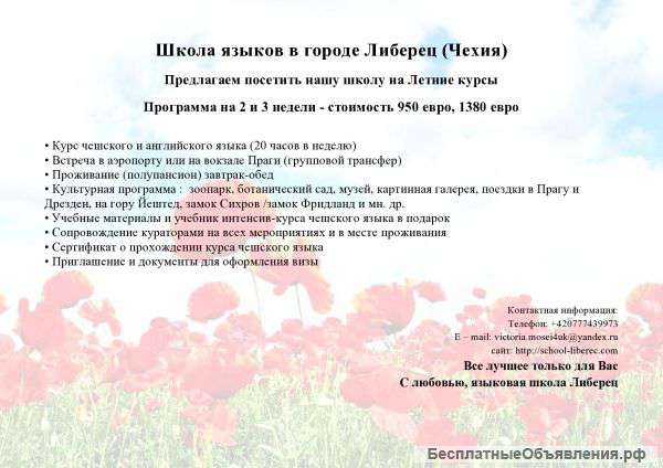 Образовательные услуги