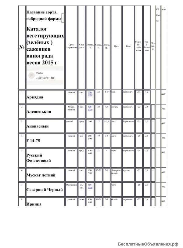Саженцы винограда Отправлю по почте в любое место