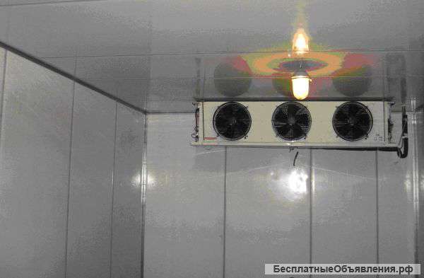 Холодильные камеры в аренду