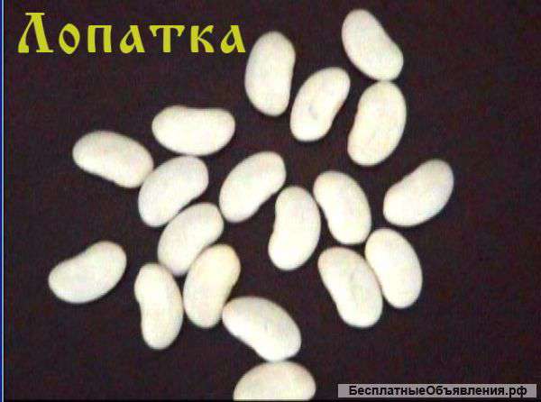 Фасоль оптом