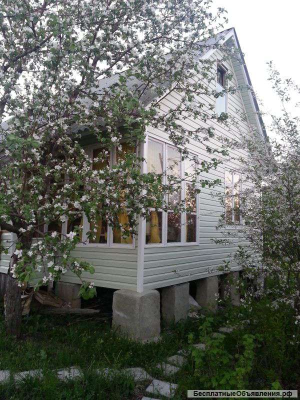 Вишневый сад и дача