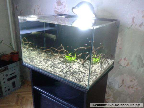 Аквариум 100 литров с тумбой