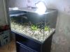 Аквариум 100 литров с тумбой