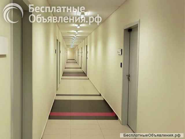 Аренда офиса класса А в БЦ "Хамелеон" общей площадью 46 м. кв. + терраса. Современный ремонт. Центр