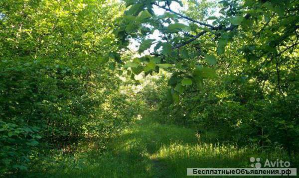 Сад с домом и баней