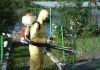 Дезинфекция