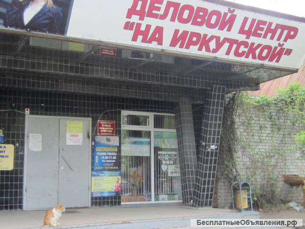 Сдаю помещение