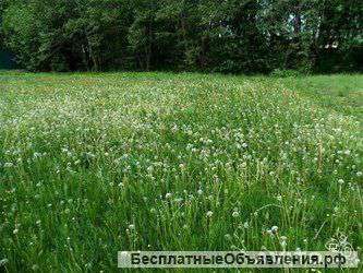Земельный участок