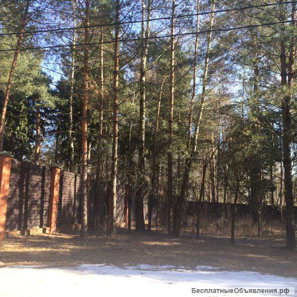 20 соток в лесу у озера в Новом селе