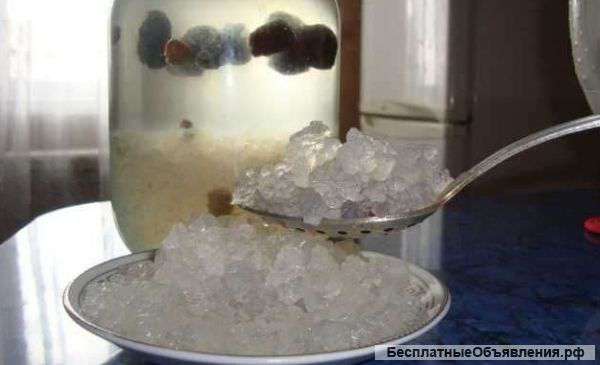 Индийский морской рис и Тибетский молочный гриб