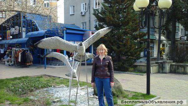 Юрист ищет работу