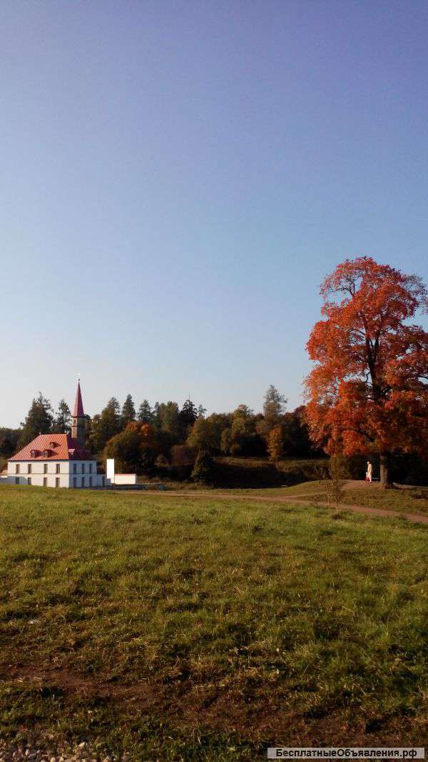 Квартиру в Гатчине