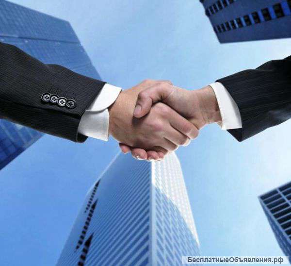 Ищу партнера. Создание проектной организации