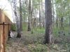 Участок 12,5 соток