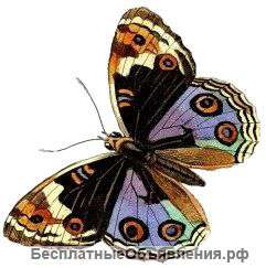 Детские праздники, индивидуальные сценарии, лучшие аниматоры