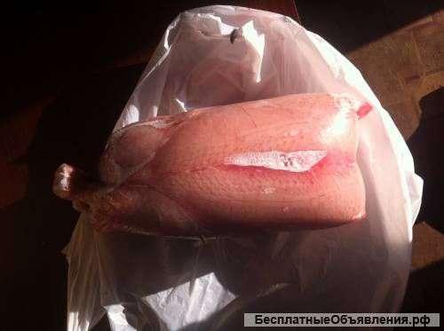 Курица ЦБ оптом от 75 руб/кг (с НДС)