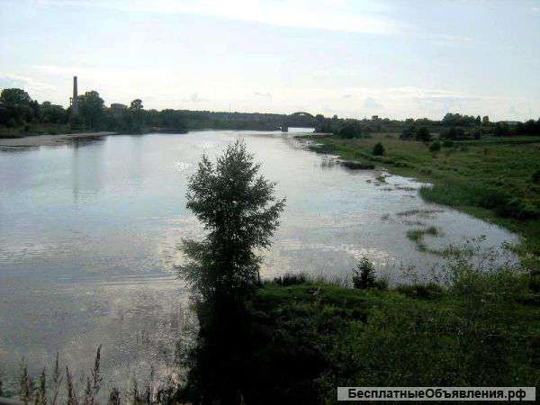 Участок с лесными деревьями на 2 линии реки Хотча (60 метров от уреза воды)