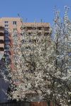 2-х комнатную квартиру в М.О.