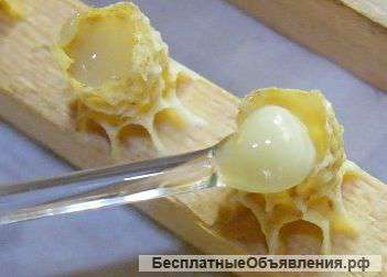 Маточное молочко Мёд