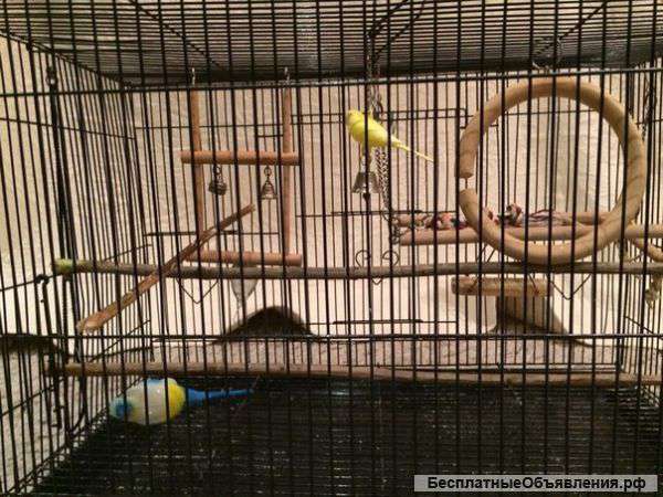 Клетка для птиц