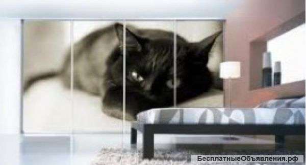 Шкаф-купе с зеркалом №1. Под заказ