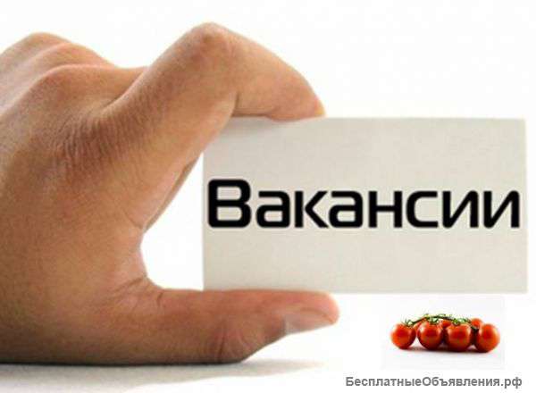 Требуется Оператор
