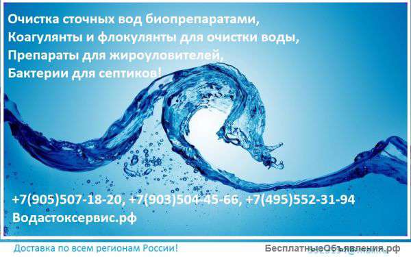 Деградация жиров и масел