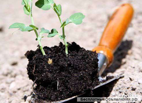 Урожай Готовь с Весны