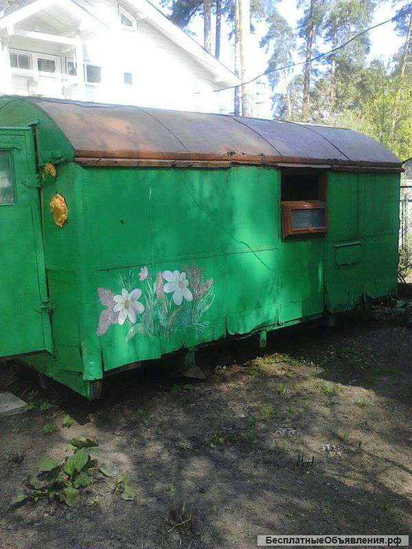 Кролики и фазаны