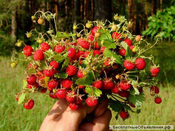 Участок