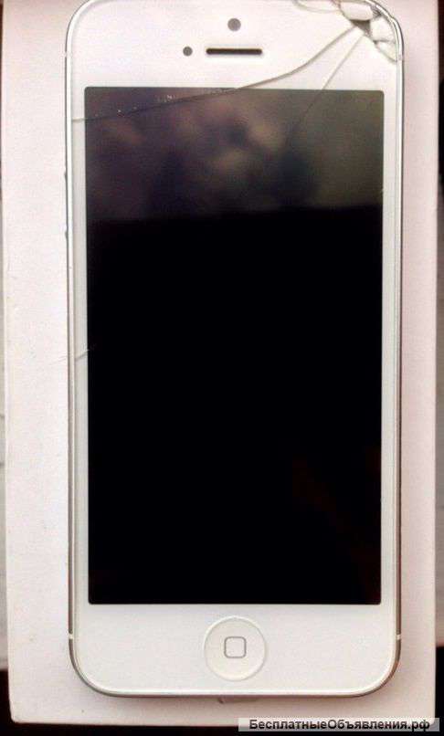 IPhone 5, 16 Гб, белый