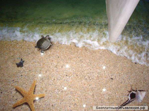 Наливные 3д полы, трехмерное изображение