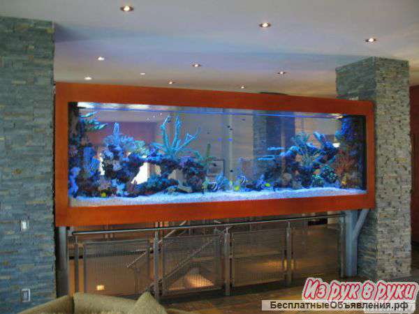 Обслуживание, оформление пресноводного аквариума. (дом, офис, бар)