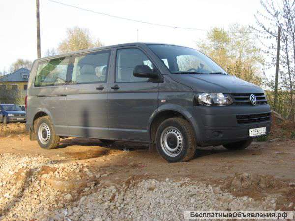 Перевозка домашних животных на микроавтобусе