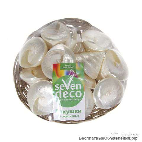 Набор ракушек Troca Salzeticus White, 7 см, 12шт