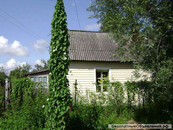 Дом