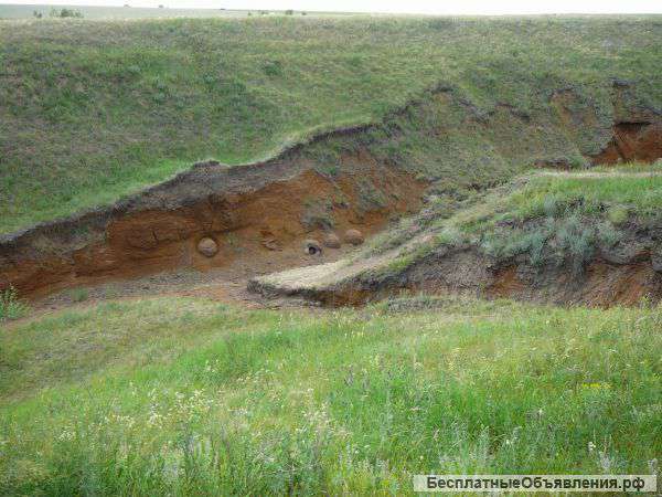 Приму грунт на Ярославском шоссе