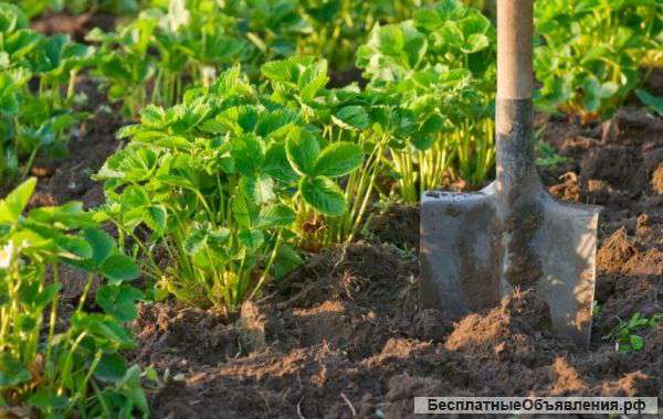 Земельный участок 38 соток под ИЖС