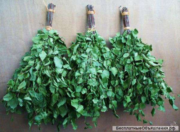 Веники березовые