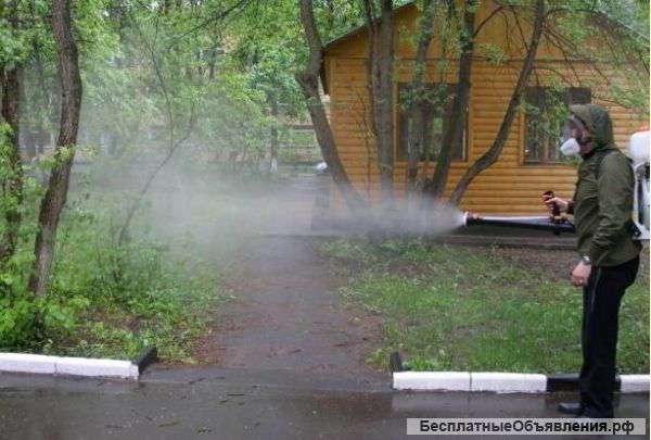 Комаров и Грызунов нет