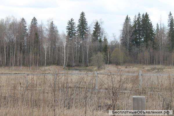 Земельный участок в д.Шахматово