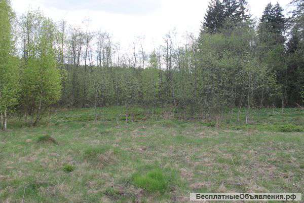 Земельный участок в п.Поваровка