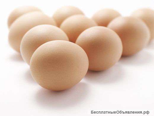 Яйцо куриное 1 с