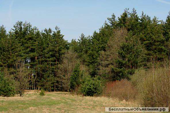 Земельный участок в Домодедовском районе Мос.обл.