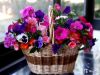 Корзина с петуньями, виолой-Лето
