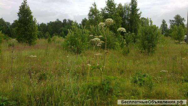 Земельный участок