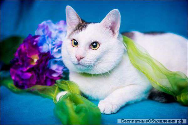 Вениамин в поисках любящей и понимающей семьи